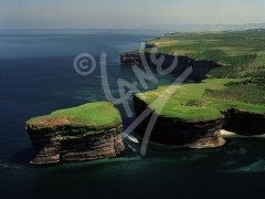 Bell Island